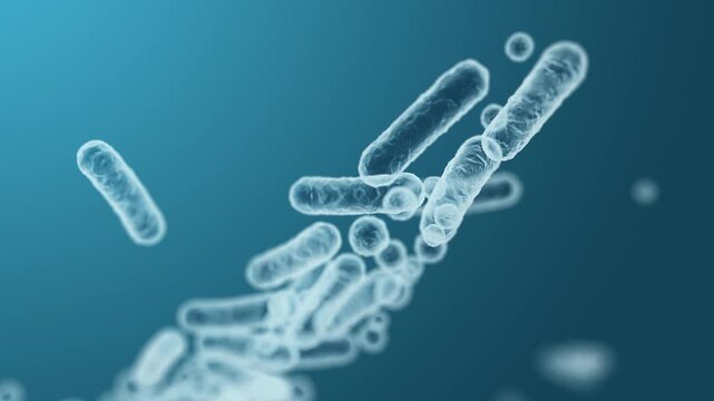 Enterobacteriaceae, gram-negative rod-shaped bacteria, part of intestinal microbiome and causative agents of different infections, 3D rendering. Escherichia coli, Klebsiella, Enterobacter and other	