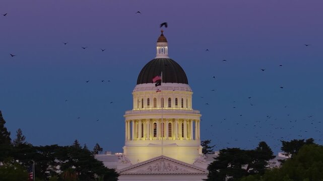 Aerial view of the California State Capitol at night showing the west side surrounded by flocks of birds.