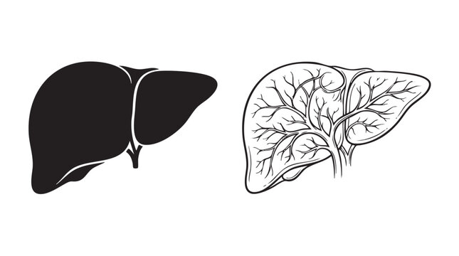 liver black vector bundle icon with internal anatomy