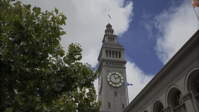 Old Clock Tower Viewed Through Tree Canopy - Steady Cam Low Angle Movement
