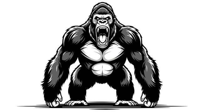 Powerful silverback gorilla standing in aggressive posture.