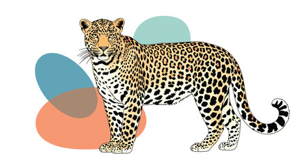Fototapeta premium detailed illustration of a spotted leopard standing in profile with colorful abstract shapes in the background.