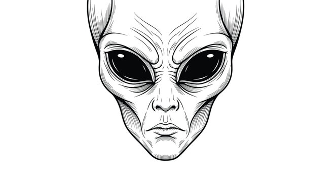 detailed black and white sketch of a classic grey alien face with large dark eyes on a white background.