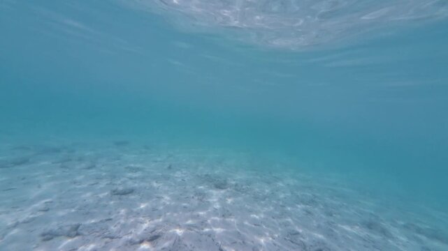Underwater scene in crystal clear turquoise sea water