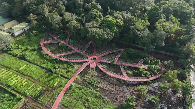An aerial view showing the unique red elevated boardwalk, shaped like a leaf bud, with winding paths that wind through the lush tropical forest.