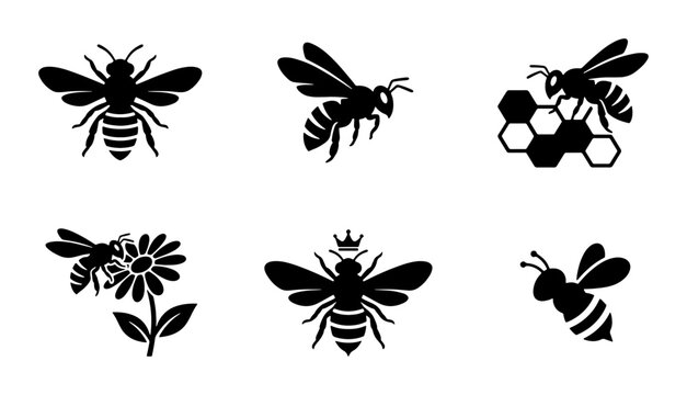 Bee Icons Set, Insect Vector Graphics, Honeycomb & Flower Illustrations, Royal Queen Bee Silhouette