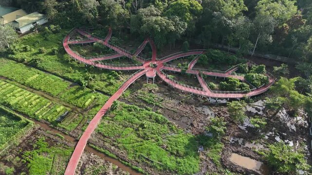 An aerial view showing the unique red elevated boardwalk, shaped like a leaf bud, with winding paths that wind through the lush tropical forest.
