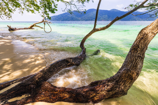 Beautiful beach on the tropical sea at Koh Lipe, Satun Province, Thailand.