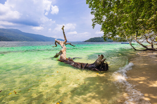 Beautiful beach on the tropical sea at Koh Lipe, Satun Province, Thailand.