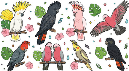 Tropical parrot collection featuring cockatoos cockatiels galahs and black parrots with exotic birds isolated vector illustration © Prodip