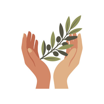 Hands holding olive branch, symbol of peace and hope