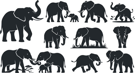 Obraz premium African elephant silhouette collection featuring adult and baby elephants in wildlife poses isolated black animal vector illustration