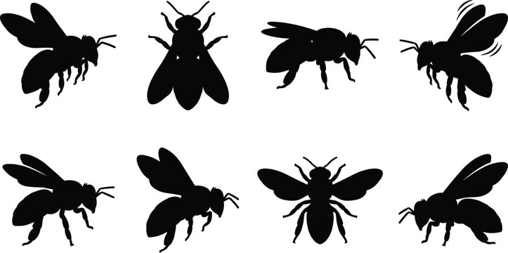 Black silhouettes of bees in various positions insect flying