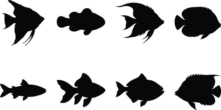 Black silhouettes of various fish on white background aquatic