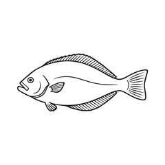 Fototapeta premium fish on a white background
