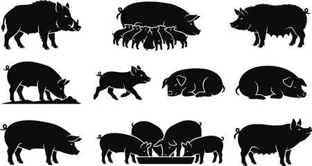 Collection of pig silhouettes including sow with piglets, boar, feeding, sleeping, and standing pigs isolated on white © Sohel