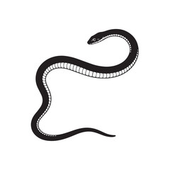 Fototapeta premium snake on white background vector illustration