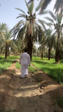 Man walking on dirt path in The Garden of Salman Al Farsi (RA) in Madinah, Saudi Arabia.