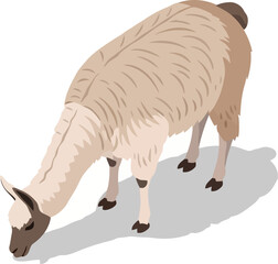 Naklejka premium Isometric light brown llama grazing on the ground casting a soft grey shadow