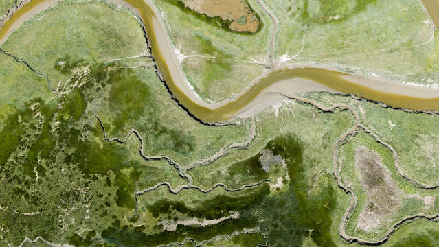 Aerial view of the Drowned Land of Saeftinghe, featuring intricate tidal channels, lush green salt marshes, and winding waterways in Nieuw Namen, Zeeland, Netherlands.