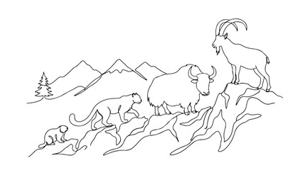 Mountain animals line art, black and white vector illustration of wild creatures in their natural habitat, ibex, yak, snow leopard, and baby monkey on rocky terrain © Haseeb's Work