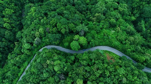 Scenic aerial forest road illustrating harmony between infrastructure and nature, suitable for sustainability communication, Green Finance, ESG investment, Climate Risk management, Renewable Energy Tr