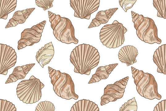 Beautiful seamless pattern with hand-drawn seashells including scallops and spiral conches on a white background.