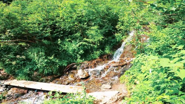南アルプスの北岳の登山道