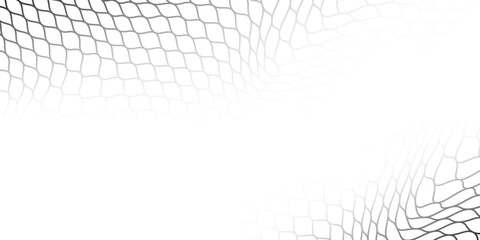 Curved fishing net or soccer ball. Wire or lace pattern. Black net texture isolated on a white background. Metal or fabric fence, fishing net, cage, or lattice structure. Vector illustration.eps 10 © liliskarlina