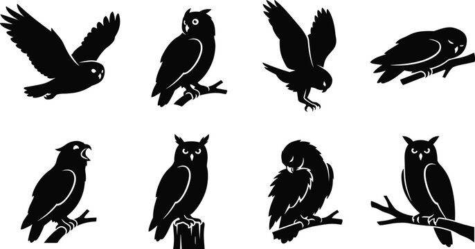 フクロウミミズク」の写真素材 | 91,941件の無料イラスト画像 | Adobe
