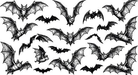 Fototapeta premium Halloween day bats collection vintage style engravings for spooky season designs