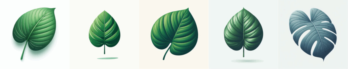 Philodendron Leaf Vector Illustration © Fajar