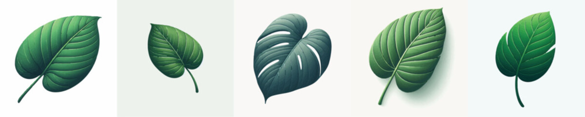Philodendron Leaf Vector Illustration © Fajar