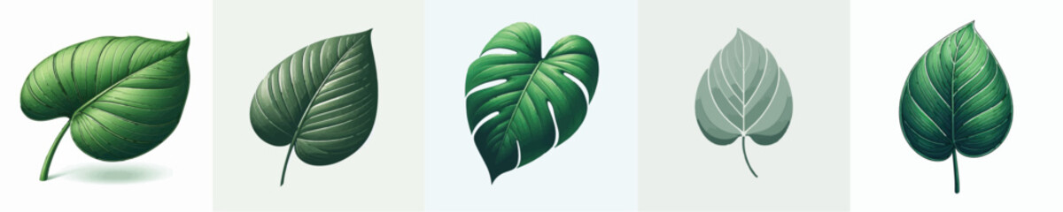 Philodendron Leaf Vector Illustration © Fajar