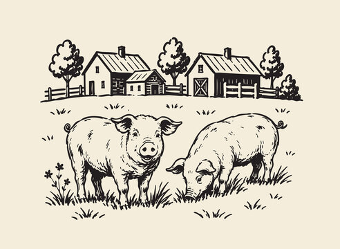 rural farm illustration featuring pigs in a countryside pasture with farmhouse, barns, fences, trees, and grassy fields
