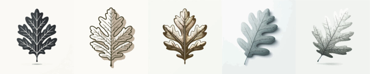 Oak Leaf Vector Illustration © Fajar