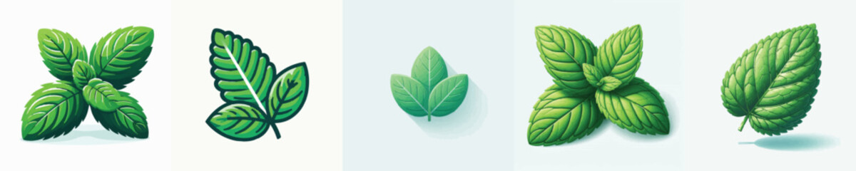 Mint Leaf Vector Illustration © Fajar