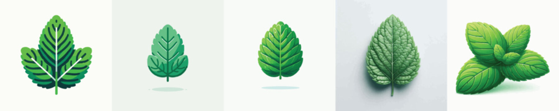 Mint Leaf Vector Illustration