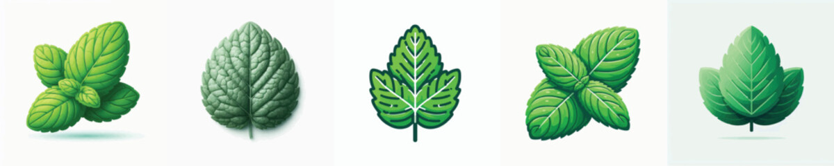 Mint Leaf Vector Illustration © Fajar