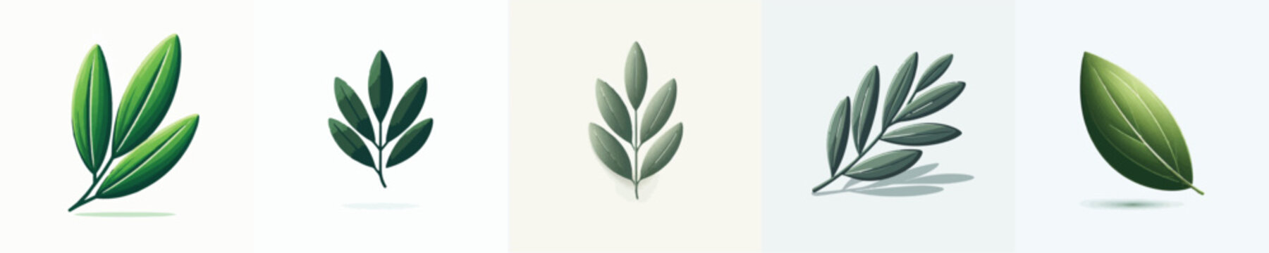 Olive Leaf Vector Illustration