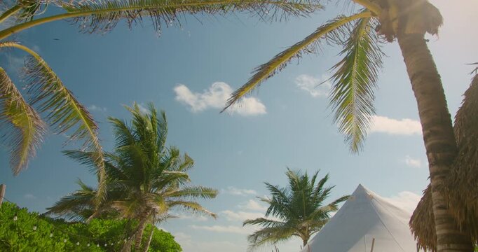 Palm trees frame sunny blue sky above luxury tent glamping resort in Tulum Mexico