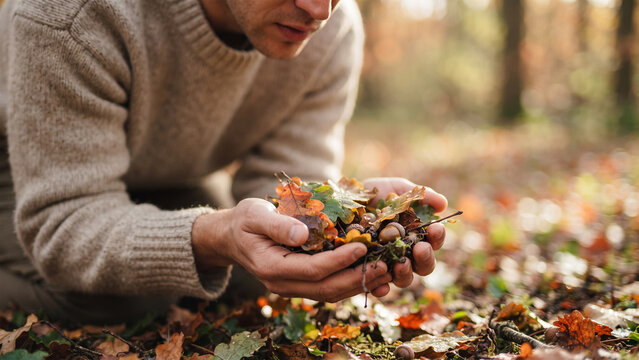man holding fallen autumn leaves and acorns in his hands