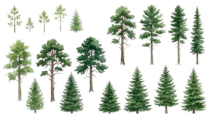 Fototapeta premium Architectural Watercolor Conifer Tree Collection with Pine Fir and Spruce Landscape Vector Set