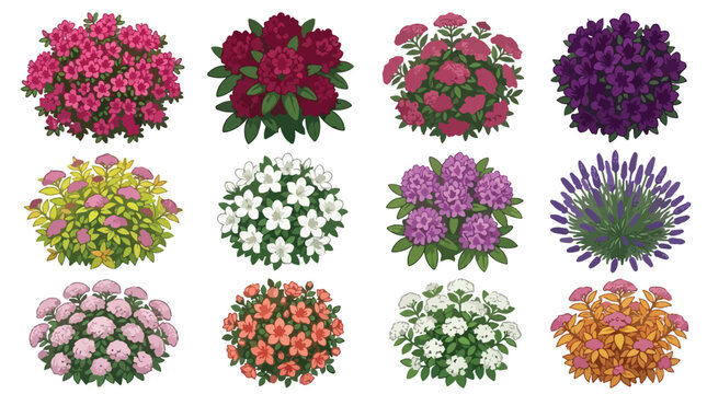 Garden flowering shrubs top view, 12 colorful landscape plant bushes vector, overhead garden design elements for site planning isolated PNG with Transparent Background