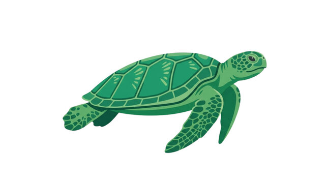 Green sea turtle swimming wildlife marine nature illustration
