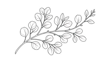 Minimalist eucalyptus branch line art, elegant botanical leaf vector illustration, hand drawn floral foliage sketch for wedding stationery and branding © Rafay