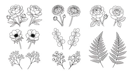 Vintage botanical line art collection, 18 hand drawn floral vector elements, elegant black and white rose and fern leaf sketches for wedding invitations © Rafay