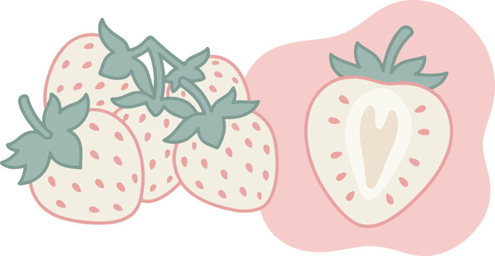 Cute hand drawn illustration of white pineberries with green leaves on a soft pink background.