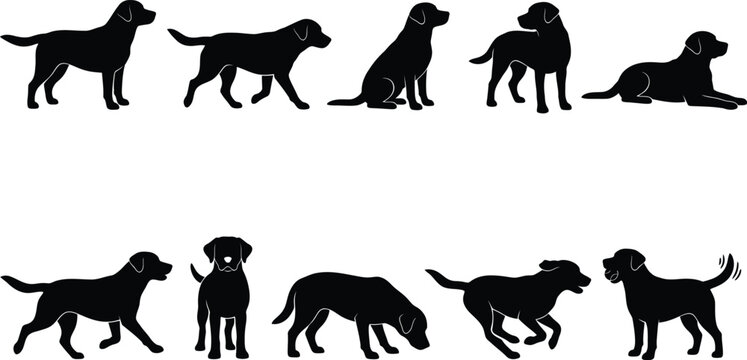 Collection of black labrador retriever silhouettes in varied activities.