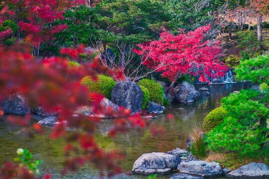Osaka, Japan - November 17, 2018: Japanese garden of Expo'70 commemorative park in autumn, shot in Osaka, Japan.